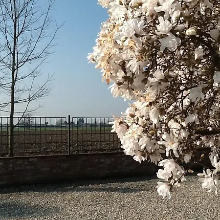 فندق مبيت وإفطار Cascina Baraggione Granozzo con Monticello