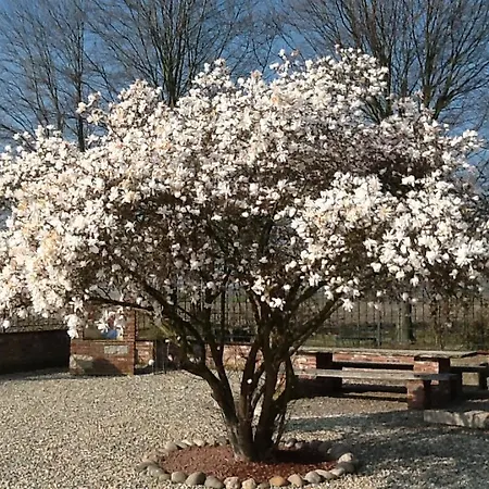 Cascina Baraggione 3*