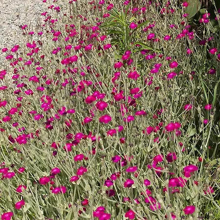 Cascina Baraggione Granozzo con Monticello
